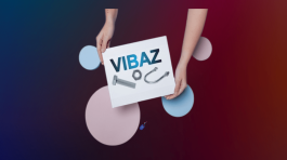 VIBAZ LOGO